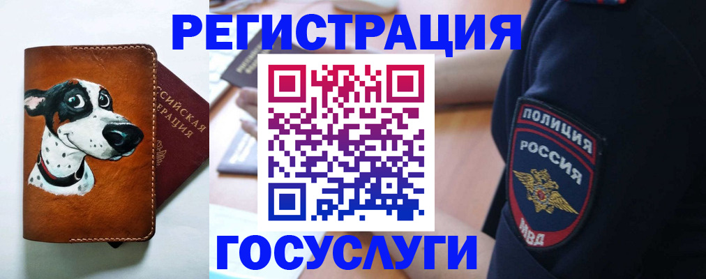 временная регистрация в квартире в Калаче-на-Дону